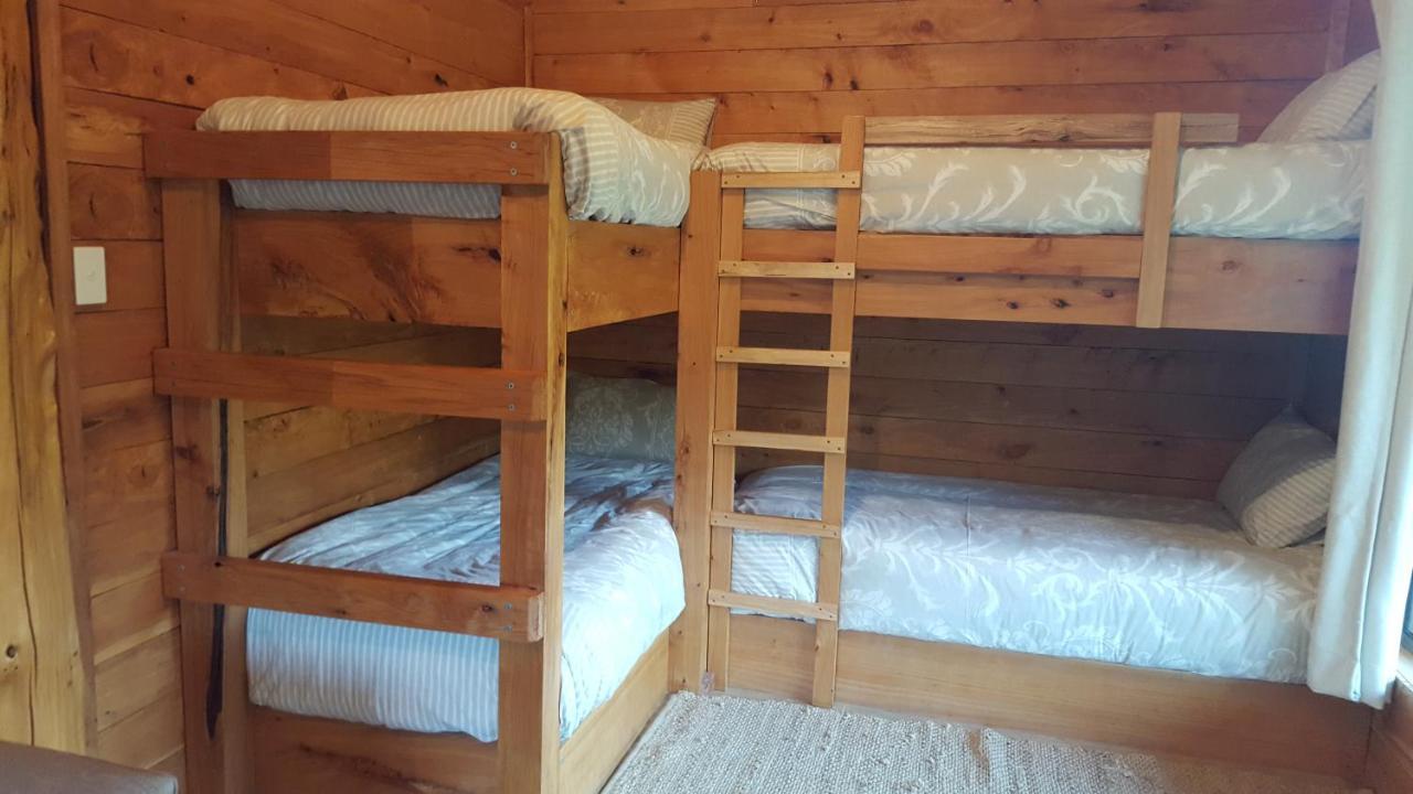 Rustic Hut Bush Retreat Bed & Breakfast Penguin Oda fotoğraf